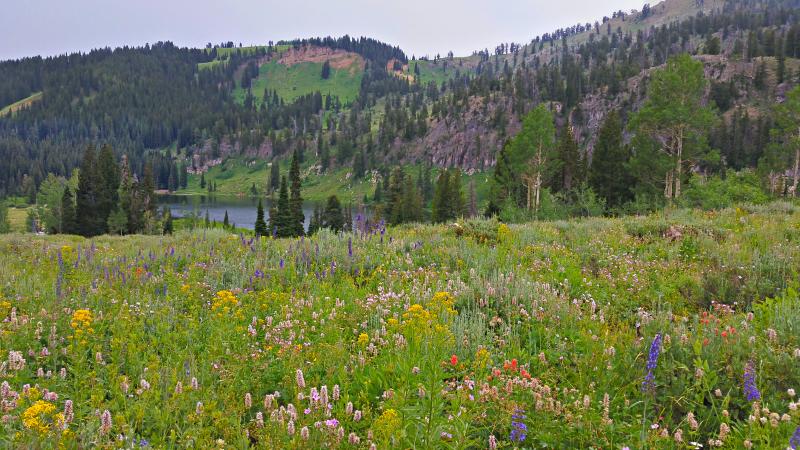 Name:  2014-07-28_17-54-01_HDR.jpg
Views: 668
Size:  93.5 KB