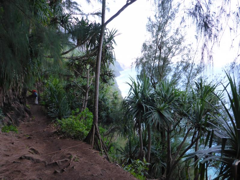 Name:  P1000044.jpg
Views: 995
Size:  114.5 KB