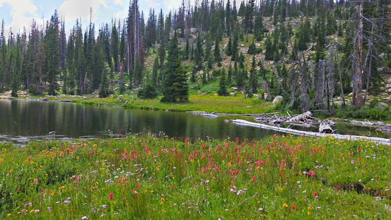 Name:  2014-08-08_13-18-50_HDR.jpg
Views: 1071
Size:  105.9 KB