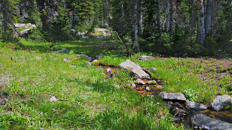 Name:  2014-08-08_15-51-00_HDR.jpg
Views: 1024
Size:  128.9 KB