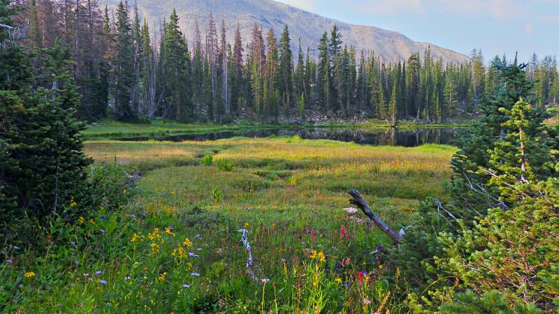 Name:  2014-08-09_08-26-58_HDR.jpg
Views: 1042
Size:  101.3 KB
