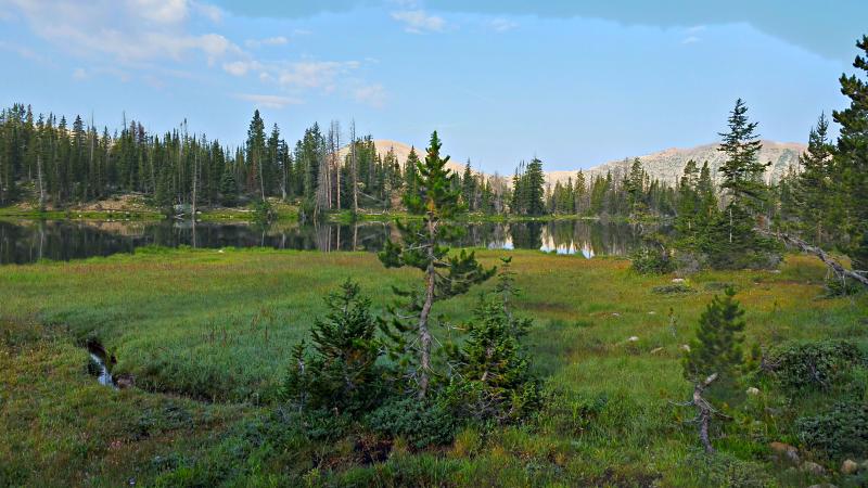 Name:  2014-08-09_08-27-56_HDR.jpg
Views: 1172
Size:  72.2 KB