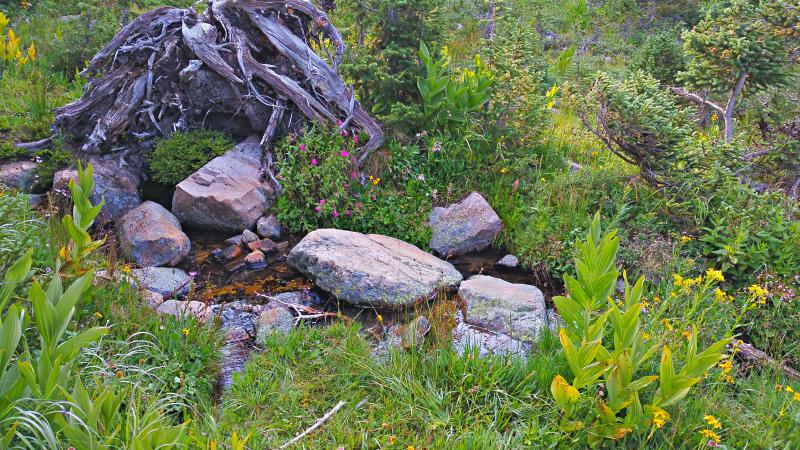 Name:  2014-08-09_08-32-25_HDR.jpg
Views: 1070
Size:  127.7 KB