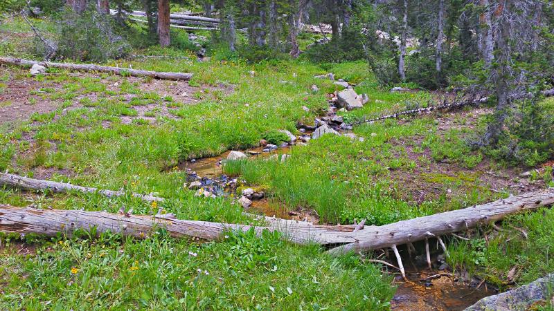 Name:  2014-08-09_12-37-03_HDR.jpg
Views: 1098
Size:  126.8 KB