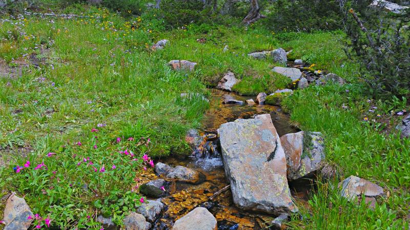 Name:  2014-08-09_12-37-32_HDR.jpg
Views: 1057
Size:  120.8 KB