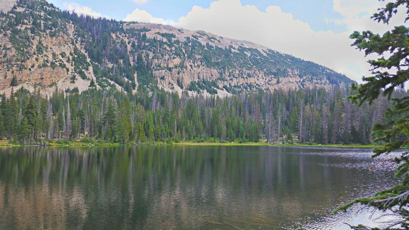 Name:  2014-08-09_12-52-40_HDR.jpg
Views: 1058
Size:  77.2 KB
