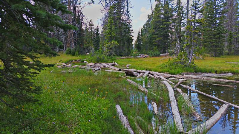 Name:  2014-08-09_12-55-48_HDR.jpg
Views: 1089
Size:  99.9 KB