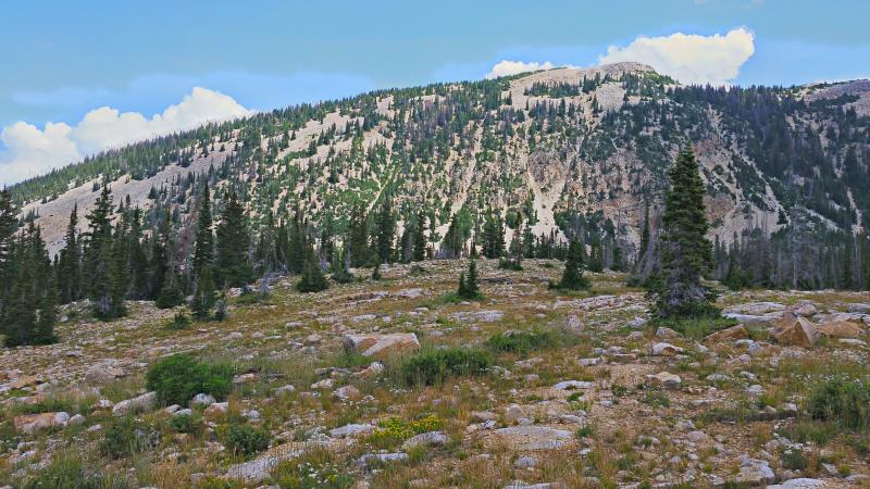Name:  2014-08-09_13-01-16_HDR.jpg
Views: 1078
Size:  90.8 KB