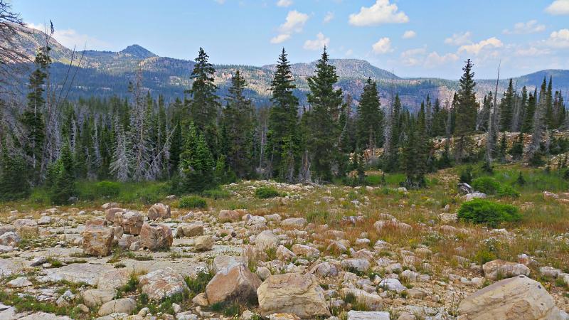 Name:  2014-08-09_13-01-53_HDR.jpg
Views: 1831
Size:  89.5 KB