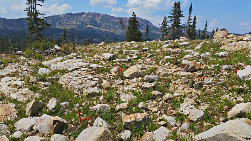Name:  2014-08-09_13-49-30_HDR.jpg
Views: 1003
Size:  120.5 KB