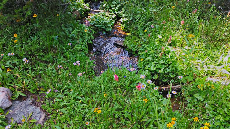 Name:  2014-08-09_14-15-59_HDR.jpg
Views: 987
Size:  136.9 KB