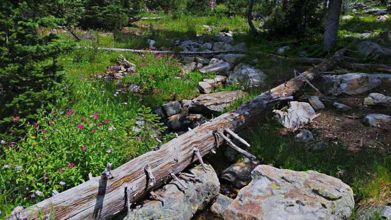 Name:  2014-08-09_14-20-41_HDR.jpg
Views: 983
Size:  116.5 KB