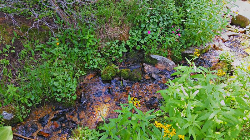 Name:  2014-08-09_14-25-43_HDR.jpg
Views: 1020
Size:  126.6 KB
