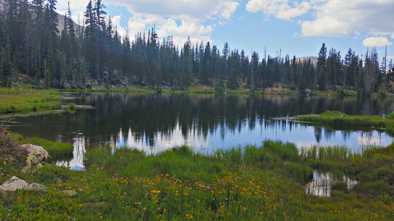 Name:  2014-08-10_12-54-58_HDR.jpg
Views: 1001
Size:  68.4 KB