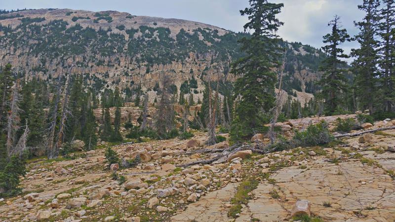 Name:  2014-08-10_13-13-23_HDR.jpg
Views: 1118
Size:  99.5 KB