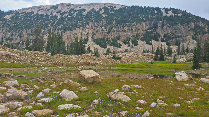 Name:  2014-08-10_13-21-53_HDR.jpg
Views: 1023
Size:  99.1 KB