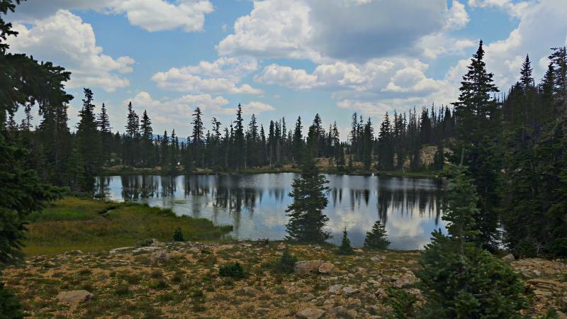 Name:  2014-08-10_13-29-40_HDR.jpg
Views: 913
Size:  67.3 KB