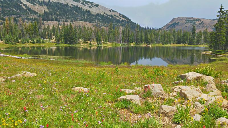 Name:  2014-08-10_13-38-17_HDR.jpg
Views: 1206
Size:  105.4 KB