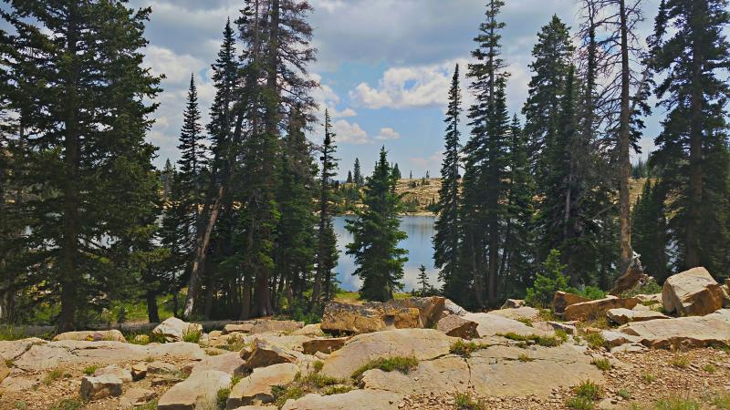 Name:  2014-08-10_13-41-33_HDR.jpg
Views: 1025
Size:  100.3 KB