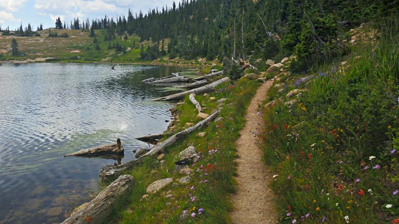 Name:  2014-08-10_13-48-05_HDR.jpg
Views: 1018
Size:  86.3 KB