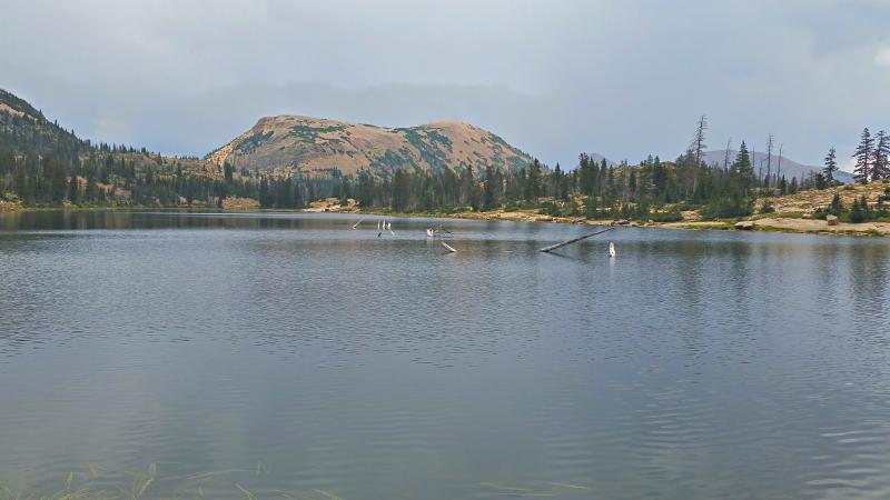 Name:  2014-08-10_13-49-33_HDR.jpg
Views: 1065
Size:  41.4 KB