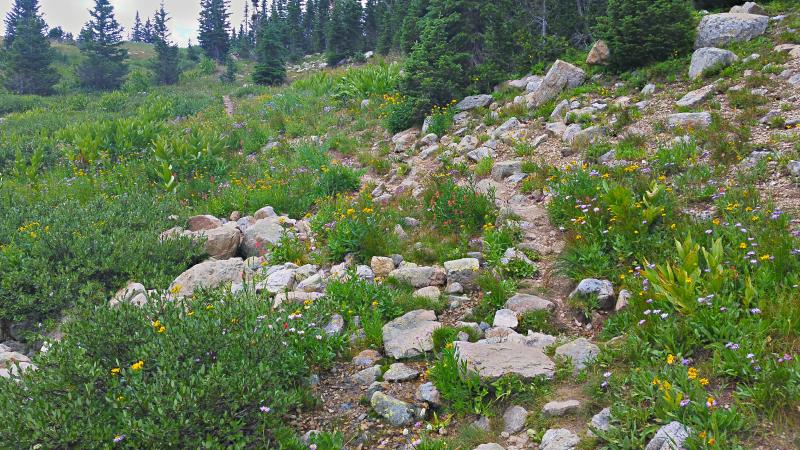 Name:  2014-08-10_13-52-05_HDR.jpg
Views: 970
Size:  118.1 KB