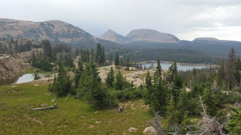 Name:  20140810_140033.jpg
Views: 957
Size:  60.7 KB