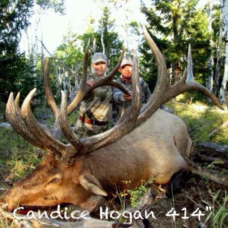 Name:  Candice Hogan 2.jpg
Views: 8671
Size:  115.1 KB