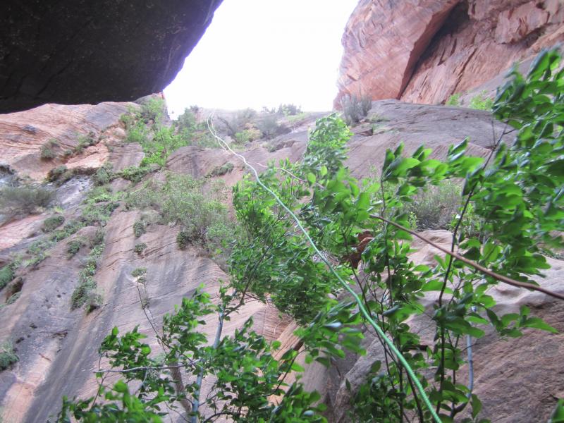 Name:  Zion 1, 2012 (892).jpg
Views: 135
Size:  100.4 KB