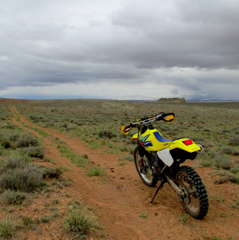 Name:  IMG_2012.JPG
Views: 453
Size:  174.7 KB