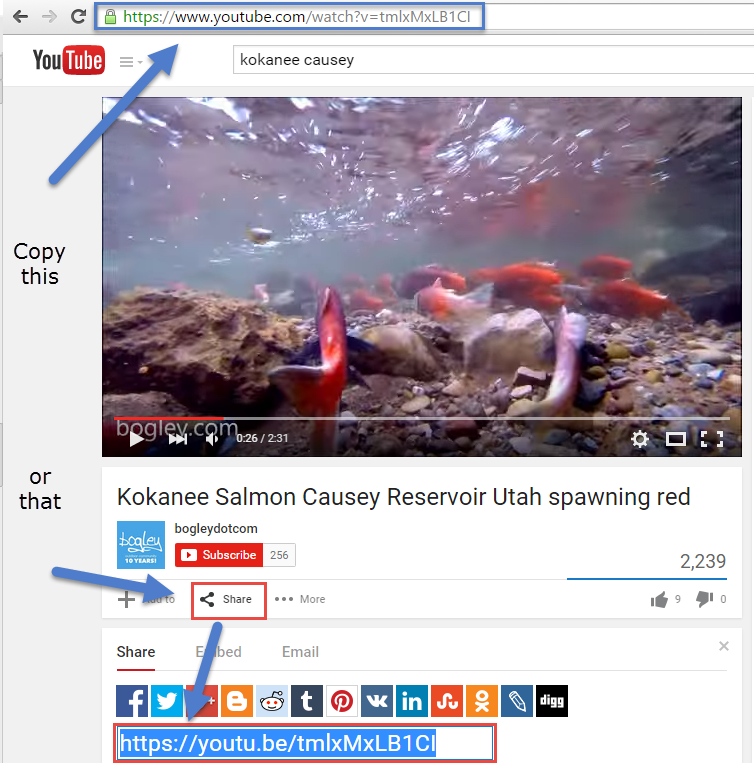Name:  ytscreen.png
Views: 2138
Size:  422.7 KB