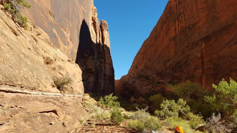 Name:  looking up canyon.jpg
Views: 518
Size:  71.7 KB
