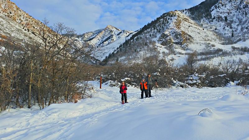 Name:  2016-01-02_16-20-19_HDR.jpg
Views: 470
Size:  89.9 KB