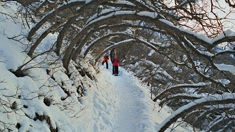 Name:  2016-01-02_16-43-39_HDR.jpg
Views: 447
Size:  110.1 KB