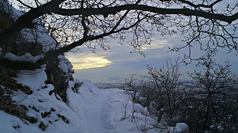 Name:  2016-01-02_17-19-11_HDR.jpg
Views: 456
Size:  87.7 KB
