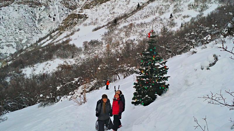 Name:  2016-01-02_17-21-54_HDR.jpg
Views: 443
Size:  96.8 KB