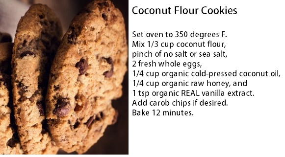 Name:  Coconut-Flour-Carob-chip-cookies.jpg
Views: 239
Size:  79.6 KB