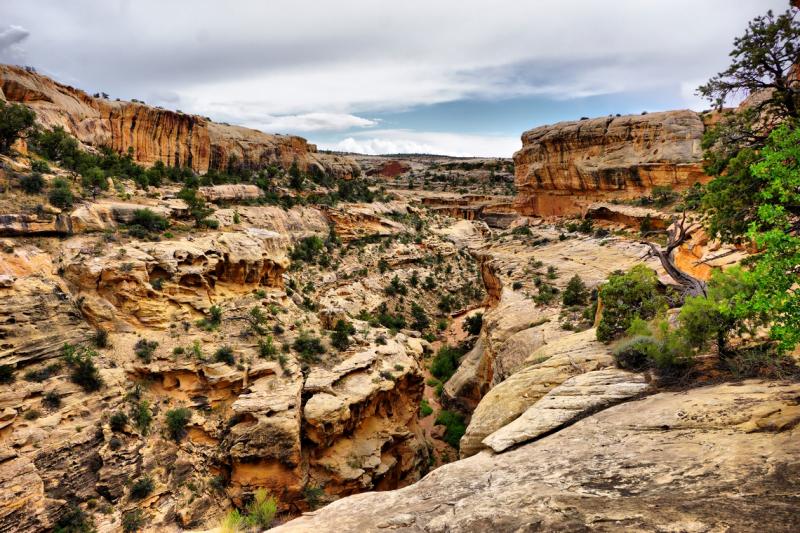 Name:  clearwatercanyon1.jpg
Views: 983
Size:  114.9 KB