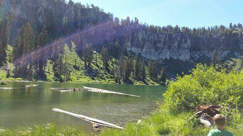 Name:  13726589_10209718588818527_759745637751118105_n.jpg
Views: 546
Size:  26.3 KB