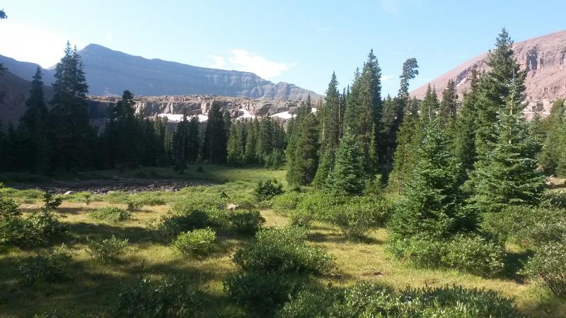 Name:  20160805_092655.jpg
Views: 948
Size:  80.0 KB