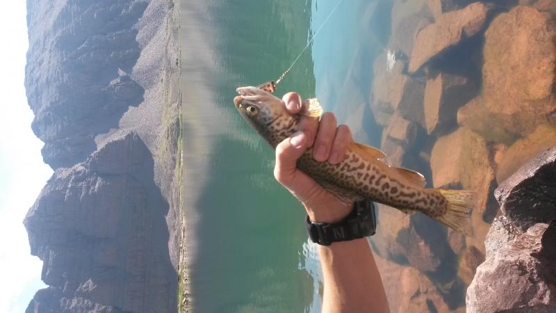 Name:  20160805_104751.jpg
Views: 981
Size:  43.7 KB