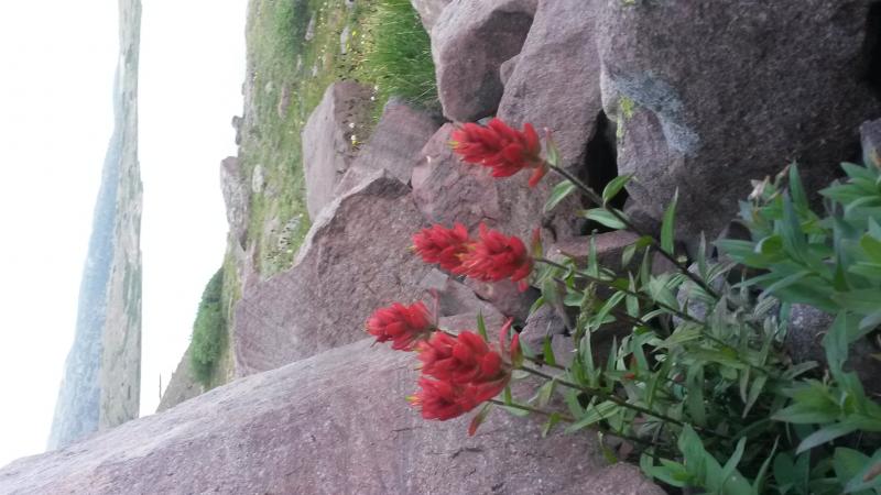 Name:  20160805_192029.jpg
Views: 918
Size:  54.7 KB