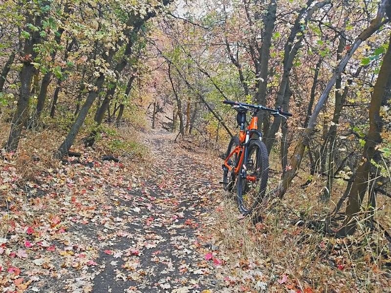 Name:  2016-09-22_14-26-57_HDR.jpg
Views: 258
Size:  211.0 KB