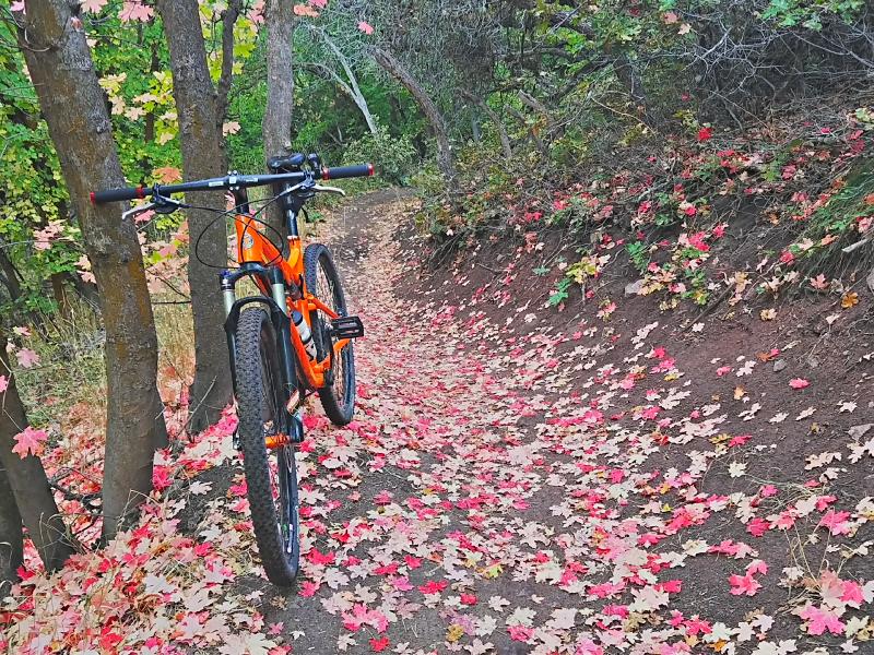 Name:  2016-09-22_14-19-49_HDR.jpg
Views: 260
Size:  190.3 KB