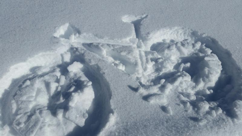 Name:  Fatbike Snow Angel.jpg
Views: 317
Size:  46.8 KB