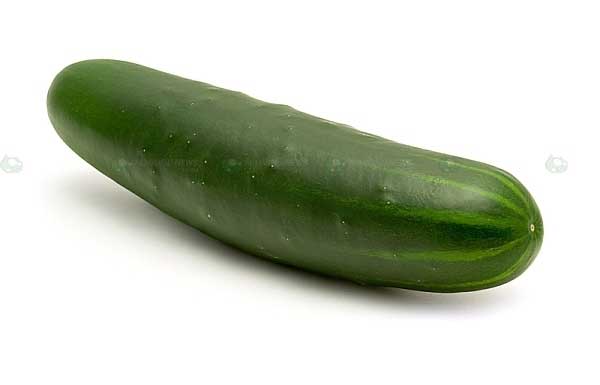 Name:  cucumber.jpg
Views: 564
Size:  9.6 KB