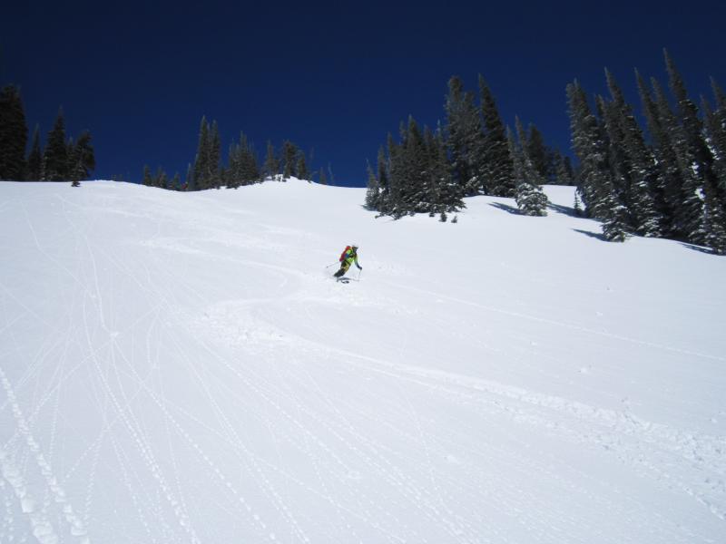 Name:  IMG_9637.jpg
Views: 1463
Size:  35.2 KB