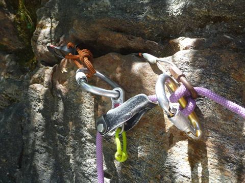Name:  17191028_10210958944903418_3564170528683158967_n.jpg
Views: 409
Size:  46.0 KB