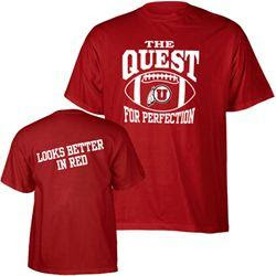 Name:  TheQuestForPerfection.jpg
Views: 285
Size:  15.5 KB