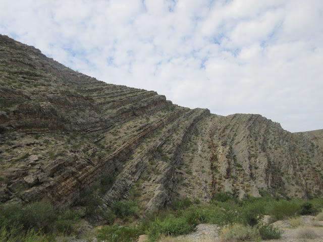 Name:  IMG_0121.JPG
Views: 449
Size:  96.9 KB